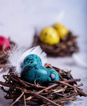 Colored Easter quail eggs in a nest on gray marble background Stock Photos