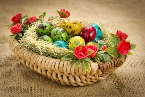 Colored Easter quail eggs in a wicker basket Stock Photos