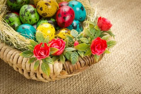 Colored Easter quail eggs in a wicker basket Stock Photos