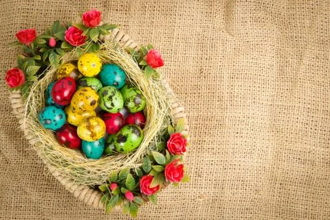 Colored Easter quail eggs in a wicker basket Stock Photos