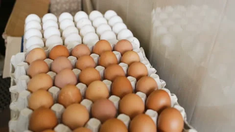 Colored eggs are in cardboard boxes.  Smooth top-down movement, three-quarters o Stock Footage 102526167