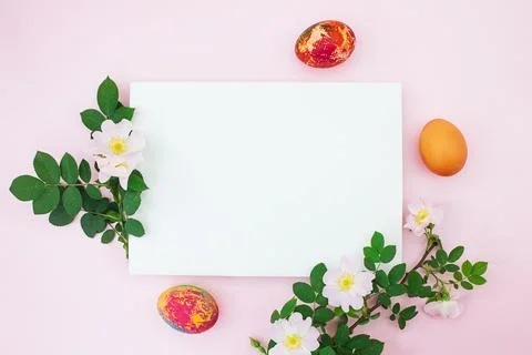 Colored eggs of branches with cherry or apricot branch with white paper Stock Photos