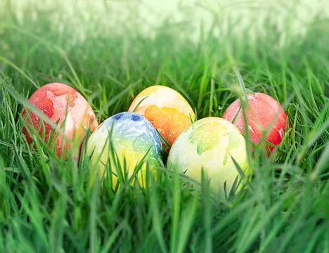 Colored eggs in green grass. Easter concept, hunter game. Copy space Stock Photos