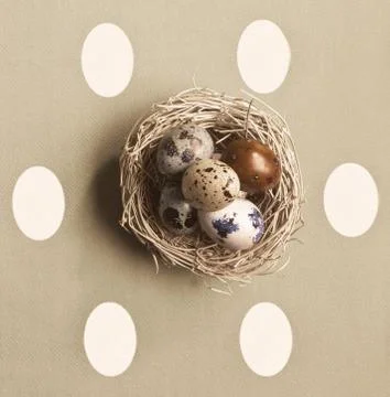 Colored eggs in a small nest Stock Photos