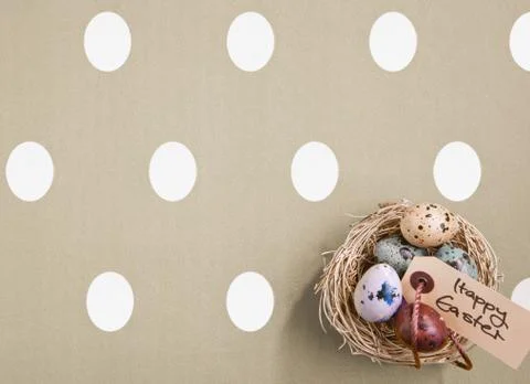 Colored eggs in a small nest Stock Photos