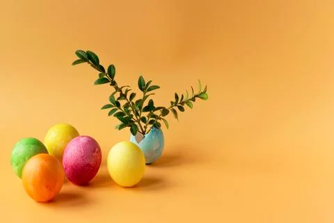 Colored eggs with spring green grass and flowering tree branch on an orange b Foto stock