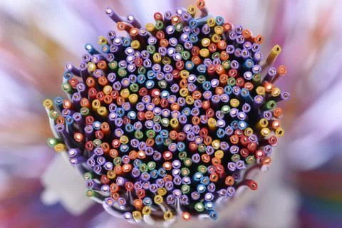 Colored electric cables closeup Stock-Fotos