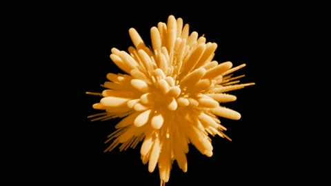 Colored explosion of smoke Stock Footage 88575497