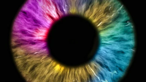 The colored eye is an extreme close-up of the iris and pupil Stock Footage 106746360