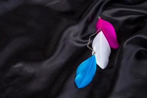 Colored feather on a black silk background Stock Photos