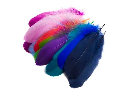 Colored feathers isolated Stock Photos