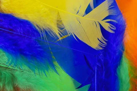 Colored feathers in various combinations, children's toy Foto stock