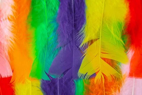 Colored feathers in various combinations, children's toy Stock Photos