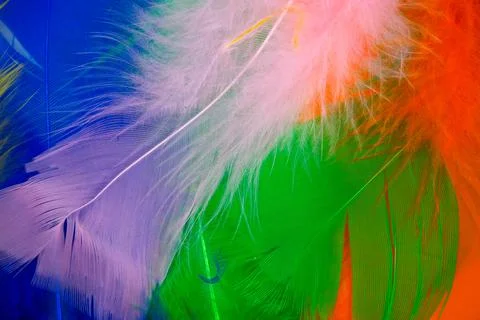 Colored feathers in various combinations, children's toy Stock Photos