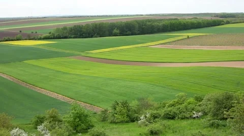 Colored fields and spring blossom Stock Footage 54026636