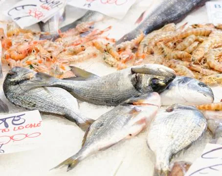 Colored fish Stock Photos