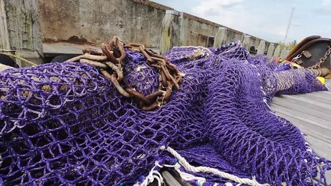 Colored fishing nets on the harbor Video stock 116762150