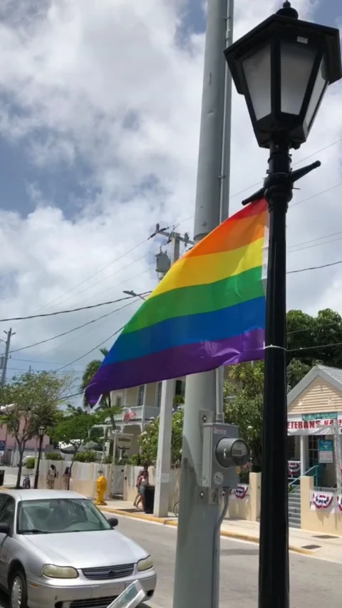 Colored flag Stock Footage 161785496