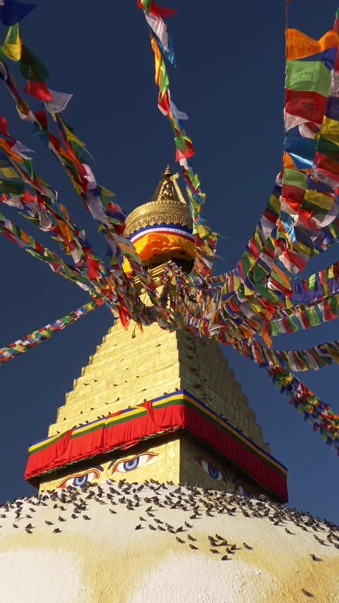 Colored flags around Boudhanath stupa in Kathmandu, Nepal. Many birds sit on the 스톡 동영상 280131421