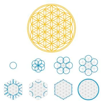 Colored Flower of Life development Stock Illustration