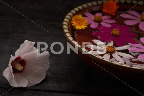 Colored flowers in a bowl with water and flower on the table Stock Photos