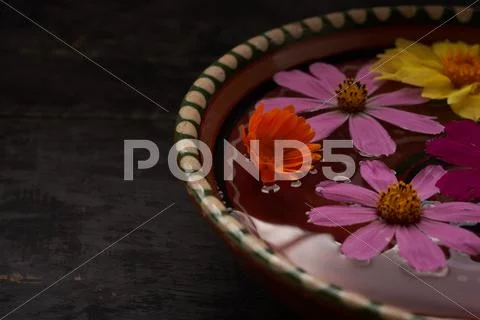 Colored flowers in a bowl of water Stock Photos