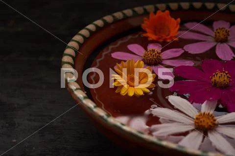 Colored flowers in a bowl of water on the table Stock Photos