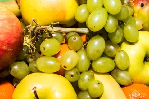 Colored fruits on table. Stock Photos