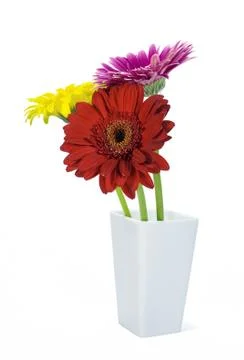 Colored gerbers Stock-Fotos