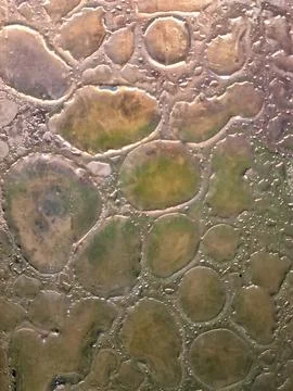 Colored glass with bubbles inside. blown glass. fusing. abstract glass back.. 写真素材