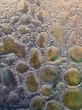 Colored glass with bubbles inside. blown glass. fusing. abstract glass back.. 写真素材