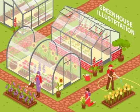 Colored Greenhouse Composition Illustration