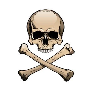 Colored human skull and crossbones Stock Illustration