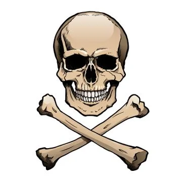Colored human skull and crossbones Stock Illustration