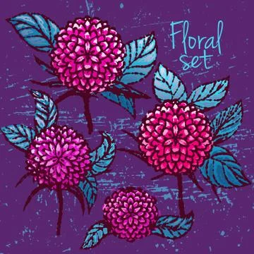 Colored ink chrysanthemums collection Stock Illustration