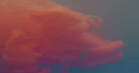 Colored ink / colored smoke diffuses in the water Stock Footage 195288960