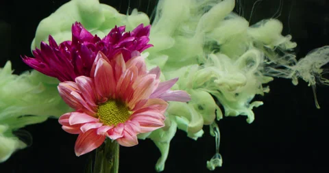 Colored Ink / Colored Smoke Sprayed Flowers In The Water Stock Footage 195295441