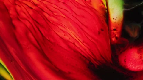 Colored ink flow background. Abstract colorful ink background. Video stock 160856371