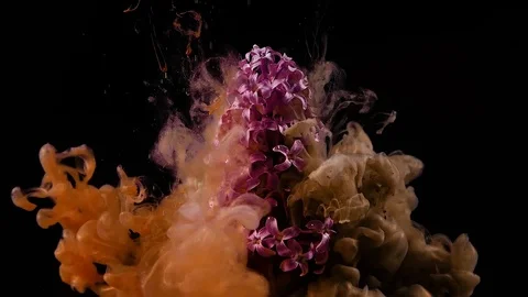 Colored ink flower water Stock Footage 89226183