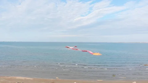 A colored kite in the blue sky. Shooting of a kite developing against a blue sky Stock Footage 127357823