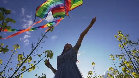 Colored kite Stock Footage 134251512