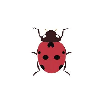 Colored ladybug design over white Stock Illustration