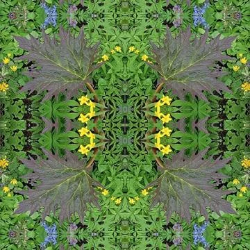 Colored leaf on the grass, top view, mirror pattern Stock-Fotos