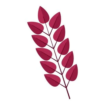 Colored Leaves Branch Vector Illustration Graphic Stock Illustration