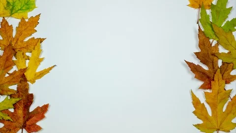 Colored leaves forming two vertical lines. Stop motion Stock Footage 118158208