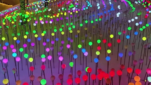 Colored lights move in circle. 動画素材 342483464