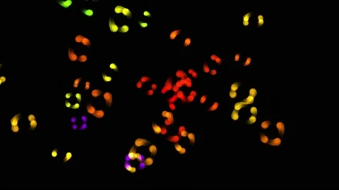 Colored lines in the shape of a petal, Beautiful multi-colored strokes. Abstract Video stock 213540662