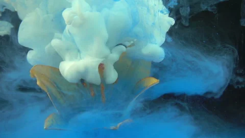 Colored Liquid Paints And Flower Stock Footage 94331986