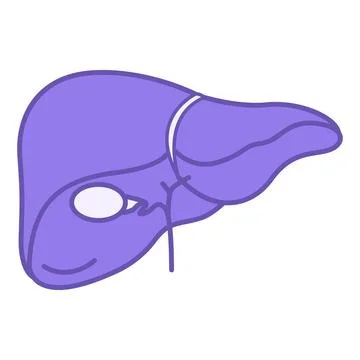 Colored Liver Icon. Vector Illustration. The Largest Internal Human Organ. .. Illustrazione stock