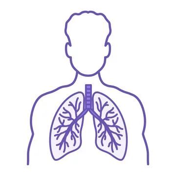 Colored Lungs Icon. Vector Illustration. Lungs Inside a Human. Body Part, I.. Stock Illustration